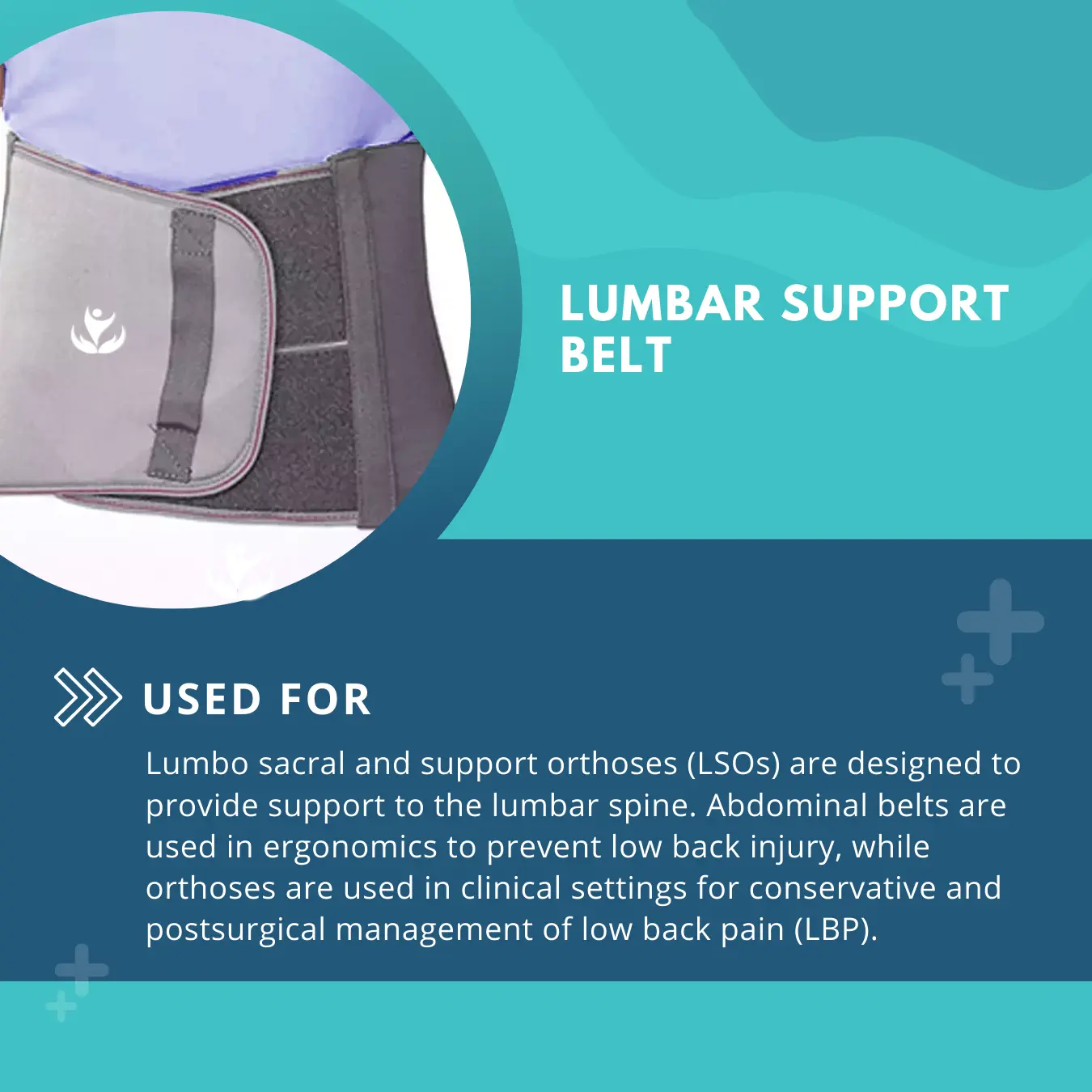 Lumbar Support Belt (Premium)